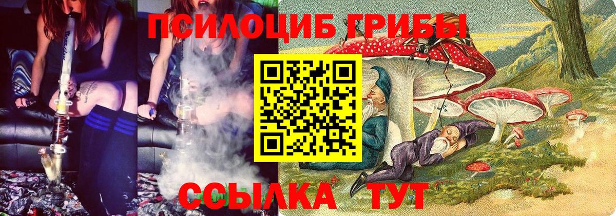 Галлюциногенные грибы ЛСД Хасавюрт