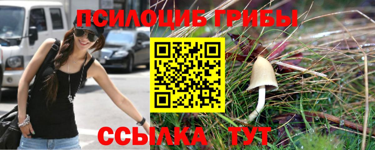 Хасавюрт  Галлюциногенные грибы Psilocybine cubensis  Вход с VPN  Галлюциногенные грибы Psilocybine cubensis 